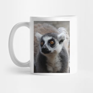Ring Tailed Lemur Mug